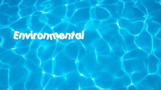 Environmental Protection_ Towards a Sustainable Future